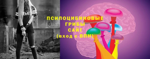 стаф Арсеньев