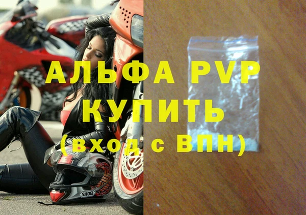 стаф Балахна