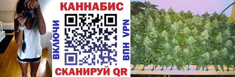 сайты даркнета клад  цена наркотик  hydra ссылки  Бологое  Бошки Шишки ГИДРОПОН 